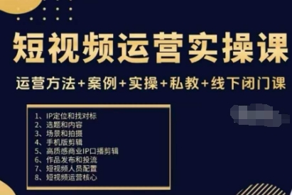 短视频运营实操课，运营方法+案例+实操+私教+线下闭门课-九零网创