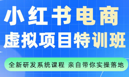 陆明明·小红书虚拟项目特训班(更新9月)-九零网创