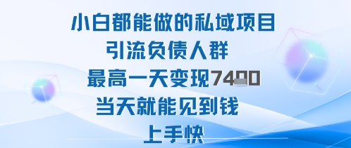 2025年小白都能做的私域项目引流负债人群最高一天变现1k+高变现难度低当天就能见到钱上手快-九零网创