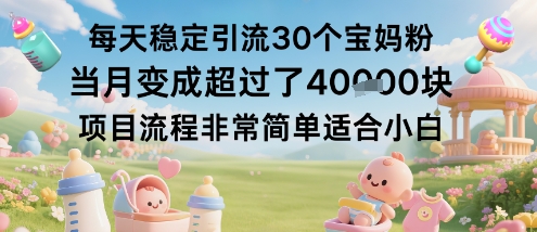 每天稳定引流30个宝妈粉当月变成超过了1W+项目流程非常简单适合小白-九零网创
