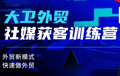 大卫老师·外贸社媒获客独家训练营(更新10月)-九零网创