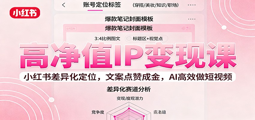 高净值IP变现课：小红书差异化定位，文案点赞成金， AI高效做短视频-九零网创