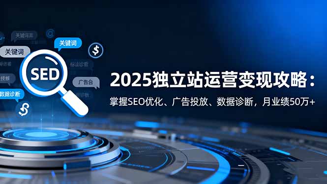 2025独立站运营变现攻略:掌握SEO优化、广告投放、数据诊断,月业绩50万+-九零网创