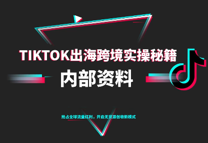 TikTok跨境电商0-1搭建运营(更新10月)-九零网创