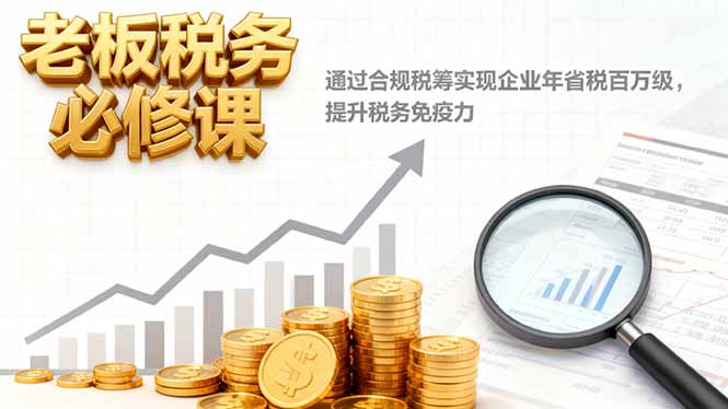老板税务必修课,通过合规税筹实现企业年省税百万级,提升税务免疫力-九零网创
