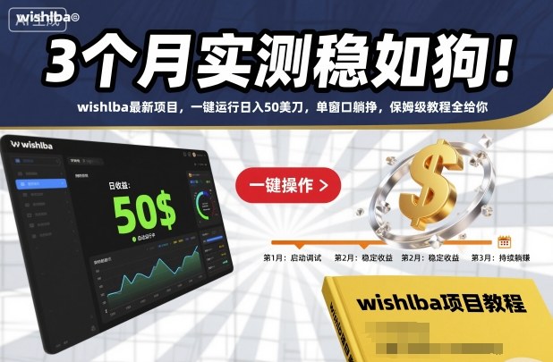 3个月实测稳如狗！wishlba最新项目，一键运行日入50美刀，单窗口躺挣，保姆级教程全给你【揭秘】-九零网创