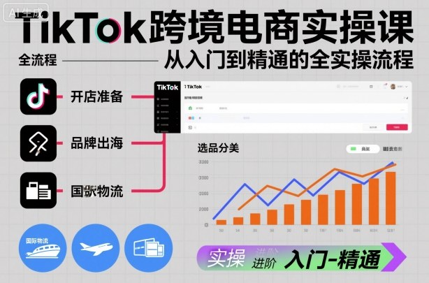 TikTok跨境电商实操课，从入门到精通的全实操流程-九零网创
