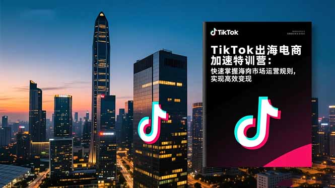 TikTok出海电商加速特训营：快速掌握海外市场运营规则，实现高效变现-九零网创