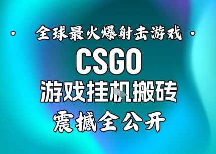 【年底大揭秘】基于全球最火爆的射击CSGO游戏挂G搬砖，日入5张+，震撼公开-九零网创