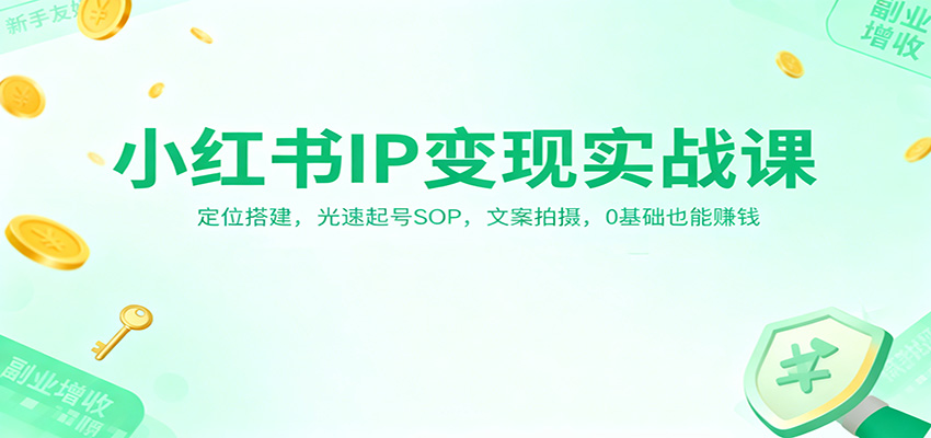 小红书IP变现实战课：定位搭建，光速起号SOP，文案拍摄，0基础也能赚钱-九零网创