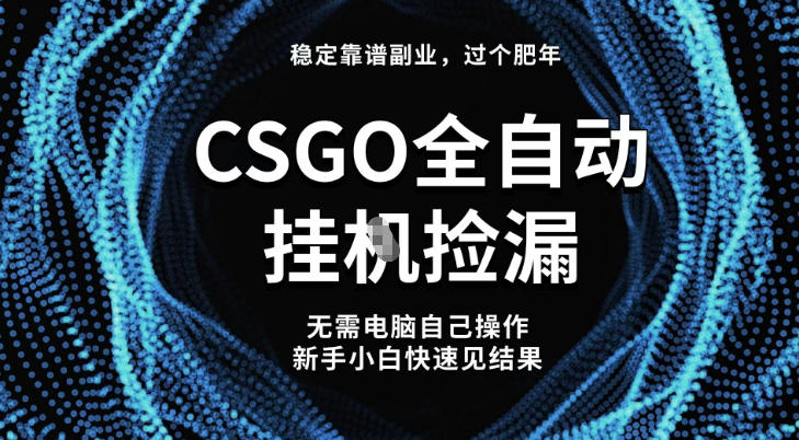 【稳定副业】全球最热门游戏CSGO全自动捡漏，最新玩法，新手小白日入5张+【揭秘】-九零网创
