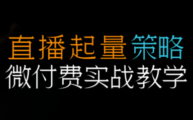 半野老师·直播带货起量与微付费必学课视频号-九零网创
