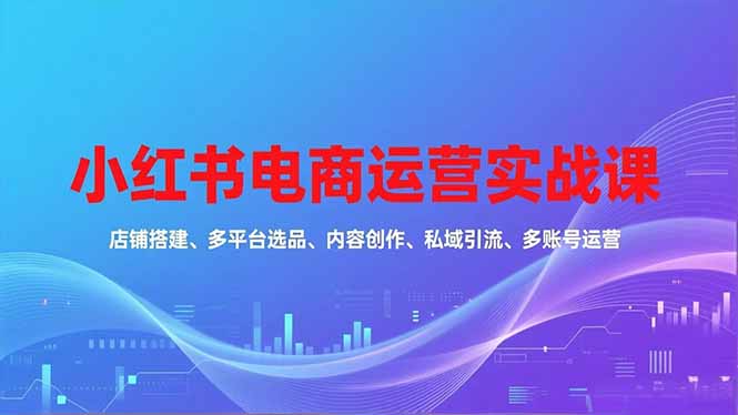 小红书电商运营实战课，店铺搭建、多平台选品、内容创作、私域引流、多账号运营等玩法-九零网创