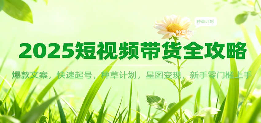 2025短视频带货全攻略：爆款文案，快速起号，种草计划，星图变现，新手零门槛上手-九零网创