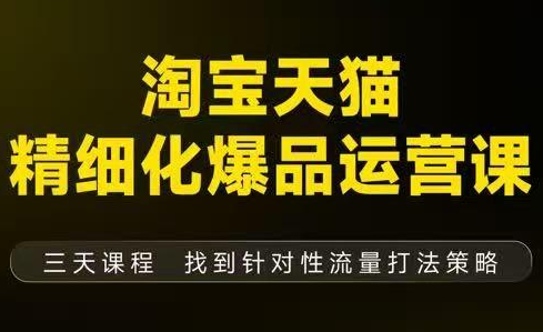 猫课子幽·淘宝天猫精细化爆品运营【音频+字幕+文档】(9月12-14杭州线下课)-九零网创