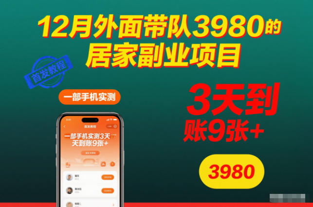 12月外面带队3980的居家副业项目,一部手机实测3天到账9张+,首发教程【揭秘】-九零网创