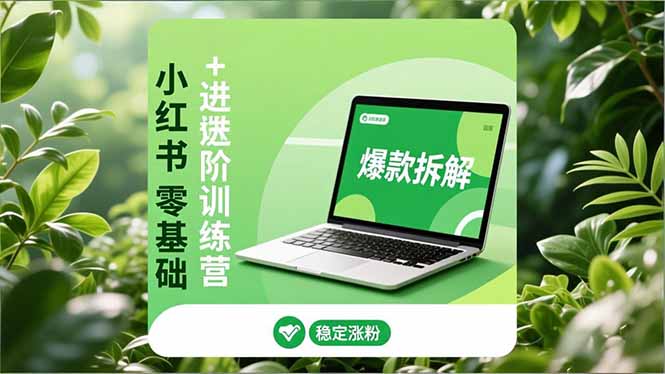 小红书零基础+高阶训练营：安全养号、爆款拆解、长效运营，实现稳定涨粉与变现-九零网创