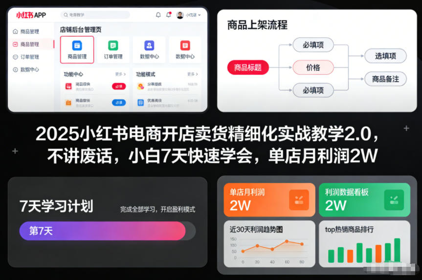 2025小红书电商开店卖货精细化实战教学2.0，不讲废话，小白7天快速学会，单店月利润2W-九零网创