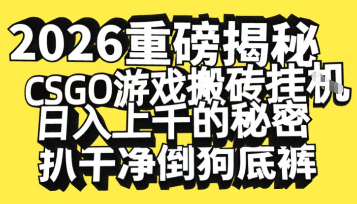 2026开年重磅解密，CSGO游戏搬砖挂G日入1k+的秘密，把倒狗的底裤扒干【揭秘】-九零网创