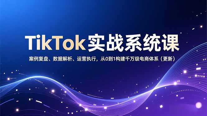 TikTok实战系统课，案例复盘、数据解析、运营执行，从0到1构建千万级电商体系(更新-九零网创