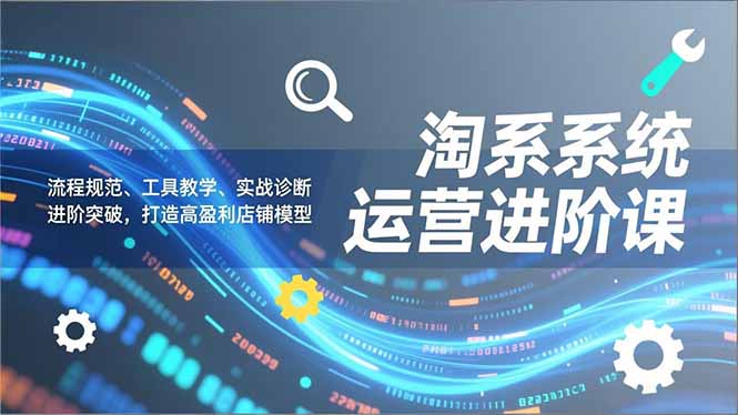 淘系系统运营进阶课2.0，流程规范、工具教学、实战诊断，进阶突破，打造高盈利店铺模型-九零网创