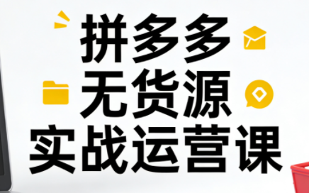 子枫老师·拼多多无货源实战运营课(更新12月)-九零网创