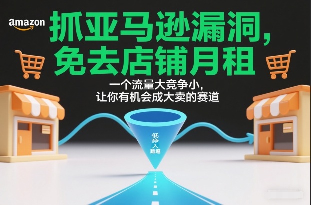 抓亚马逊漏洞，免去店铺月租，一个流量大竞争小，让你有机会成大卖的赛道-九零网创