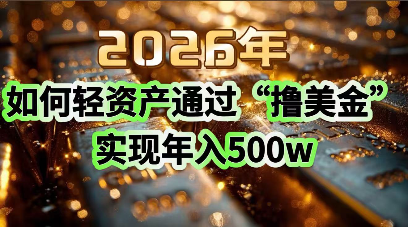 2026年如何轻资产通过“撸美金”实现年入500w-九零网创