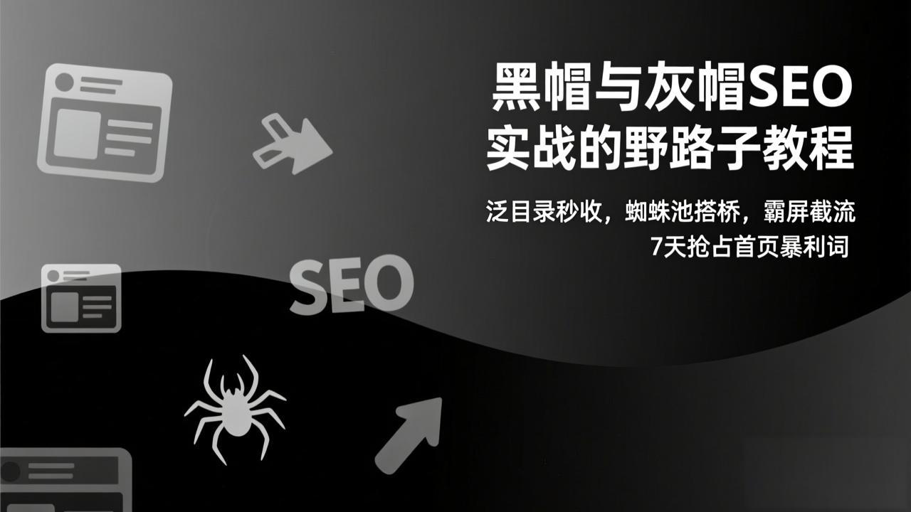 黑帽与灰帽SEO实战的野路子教程：泛目录秒收，蜘蛛池搭桥，霸屏截流，7天抢占首页暴利词-九零网创
