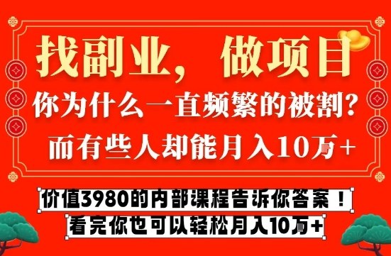 价值3980的网创内部课程，告诉你互联网创业月入10个W的秘密【揭秘】-九零网创