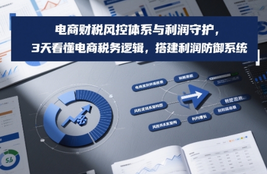 电商财税风控体系与利润守护，3天看懂电商税务逻辑，搭建利润防御系统-九零网创