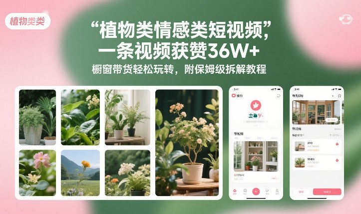 植物类情感类短视频，一条视频获赞36W+，橱窗带货轻松玩转，附保姆级拆解教程-九零网创