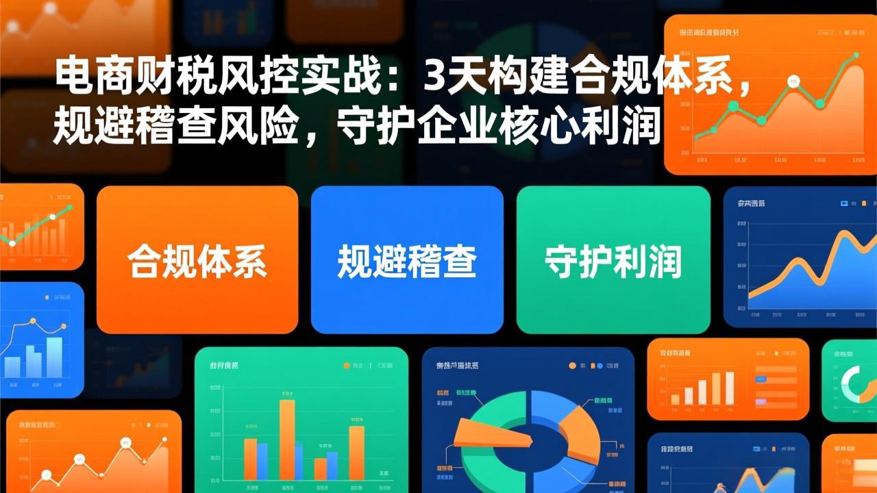 电商财税风控实战：3天构建合规体系，规避稽查风险，守护企业核心利润-九零网创