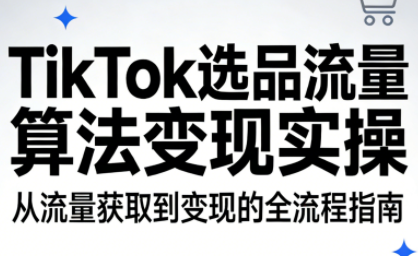 TikTok选品流量算法变现实操-九零网创