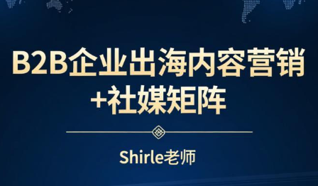 shirle老师·B2B企业出海内容营销+社媒矩阵-九零网创