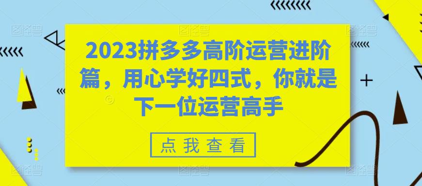 （6193期）2023拼多多高阶运营进阶篇，用心学好四式，你就是下一位运营高手-九零网创