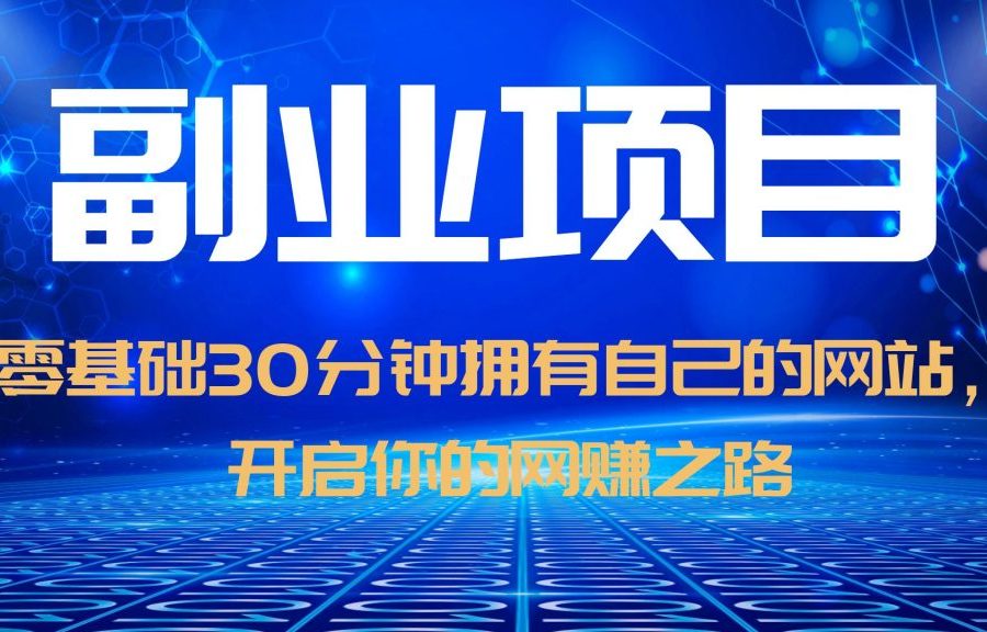 （6203期）零基础30分钟拥有自己的网站，日赚1000+，开启你的网赚之路（教程+源码）-九零网创