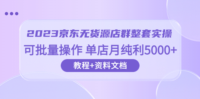 （6223期）2023京东-无货源店群整套实操 可批量操作 单店月纯利5000+63节课+资料文档-九零网创
