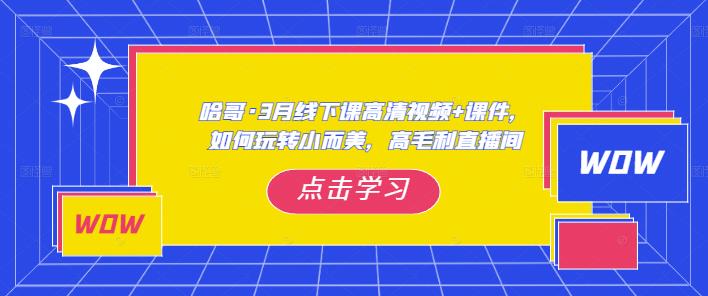 哈哥·3月线下实操课高清视频+课件，如何玩转小而美，高毛利直播间-九零网创