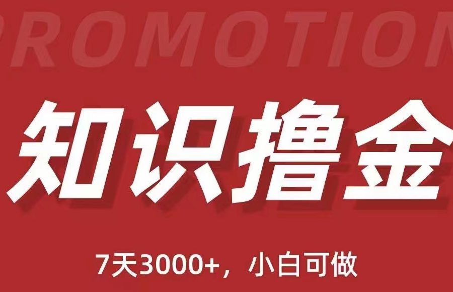 抖音知识撸金项目：简单粗暴日入1000+执行力强当天见收益(教程+资料)-九零网创