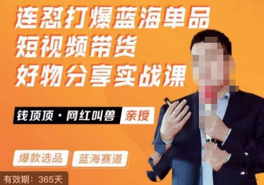 网红叫兽·连怼打爆蓝海单品，短视频带货好物分享实战课-九零网创
