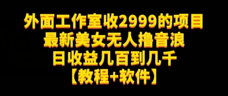 外面工作室收2999的项目最新美女无人撸音浪日收益几百到几千【教程+软件】（仅揭秘）-九零网创