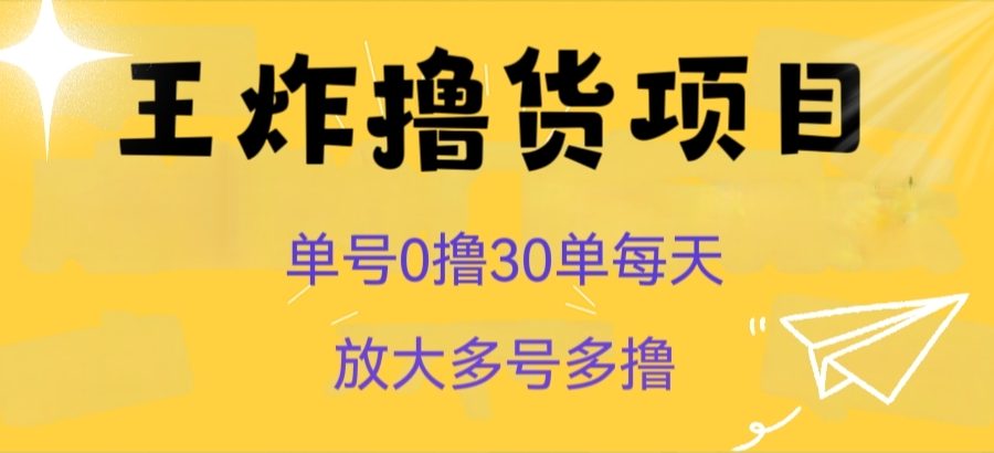 王炸撸货项目,单号0撸30单每天,多号多撸【揭秘】-九零网创