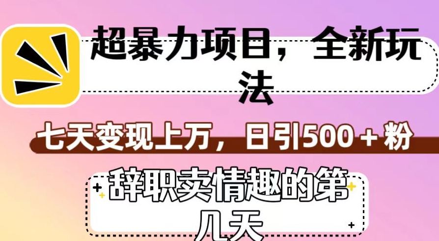 超暴利项目,全新玩法(辞职卖情趣的第几天),七天变现上万,日引500+粉【揭秘】-九零网创