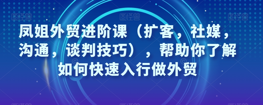 凤姐外贸进阶课（扩客，社媒，沟通，谈判技巧），帮助你了解如何快速入行做外贸-九零网创