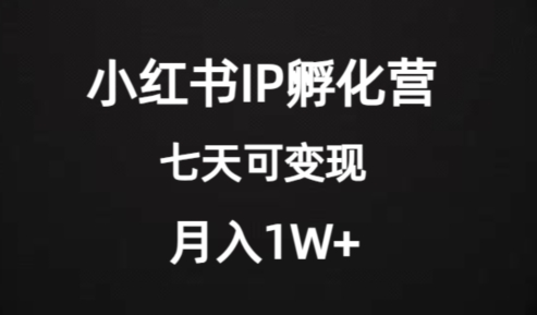 价值2000+的小红书IP孵化营项目，超级大蓝海，七天即可开始变现，稳定月入1W+-九零网创