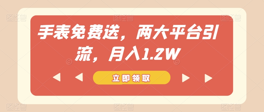 手表免费送，两大平台引流，月入1.2W【揭秘】-九零网创
