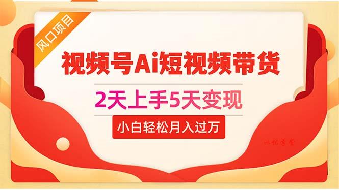 (10807期)2天上手5天变现视频号Ai短视频带货0粉丝0基础小白轻松月入过万