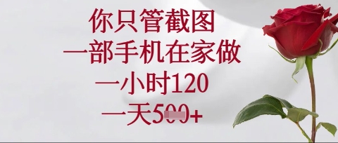 你只管截图，一部手机在家操作，一小时120.一天5张【揭秘】-九零网创