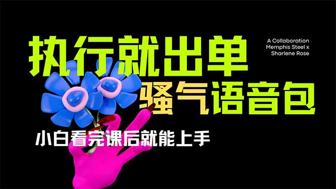 爆火全网的开车导航骚气语音包,只要执行就出单，小白看完课程就能实操…-九零网创